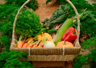 Đóng Gói Rau Tại DaLang Đà Lạt