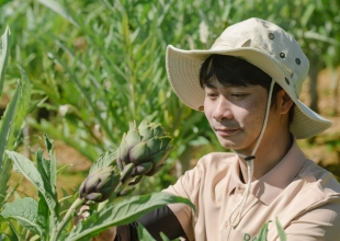 Gieo trồng tại farm DaLang Đà Lạt