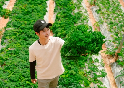 Rau Củ Quả Theo Mùa Đà Lạt