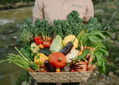 Tìm nông trại cung cấp rau tại Đà Lạt 