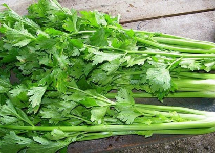 Rau sạch Đà Lạt Dalang
